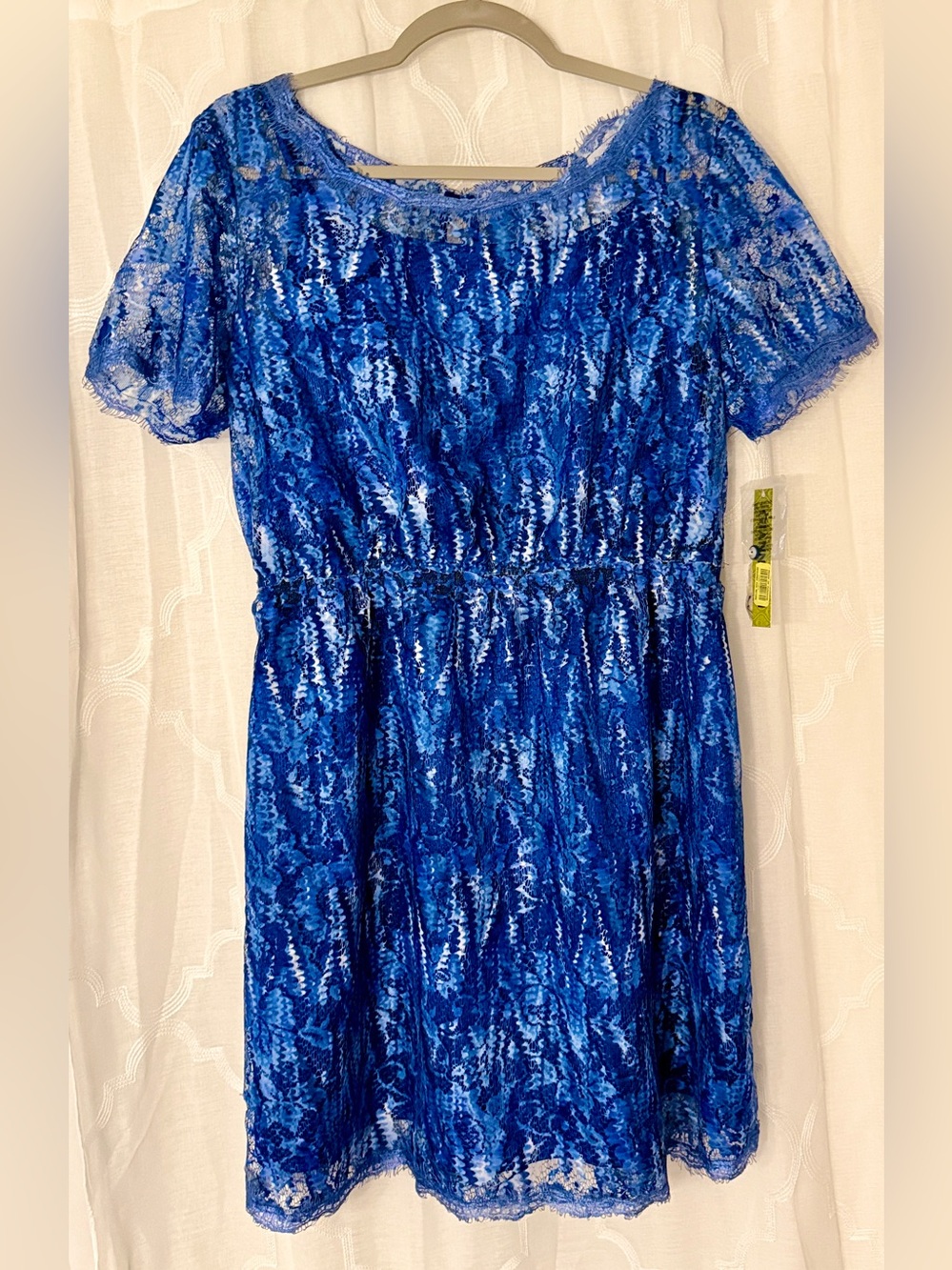 NWT Gianni Bini Royal Blue Lace Fit & Flare Dress Size Large